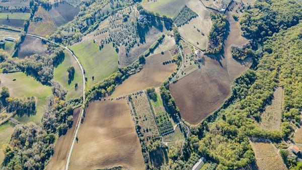 terreno agricolo in vendita a Manoppello