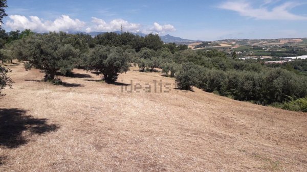 terreno agricolo in vendita a Manoppello