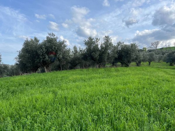 terreno in vendita a Manoppello