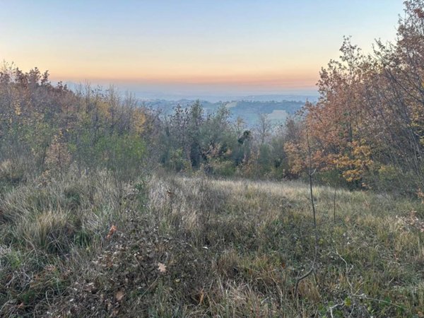 terreno in vendita a Manoppello