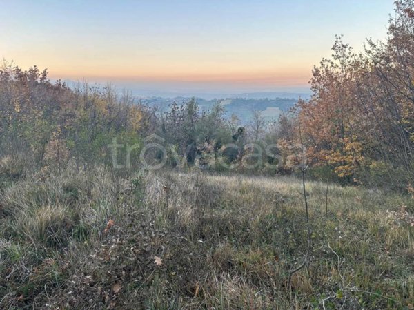 terreno agricolo in vendita a Manoppello