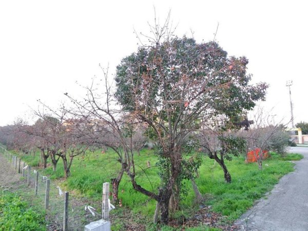 terreno edificabile in vendita a Montesilvano in zona Villa Carmine