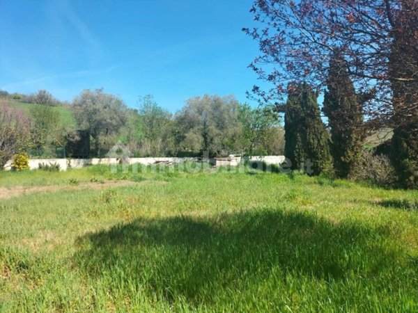 terreno agricolo in vendita a Montesilvano in zona Case di Pietro