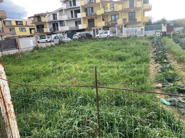 terreno agricolo in vendita a Montesilvano