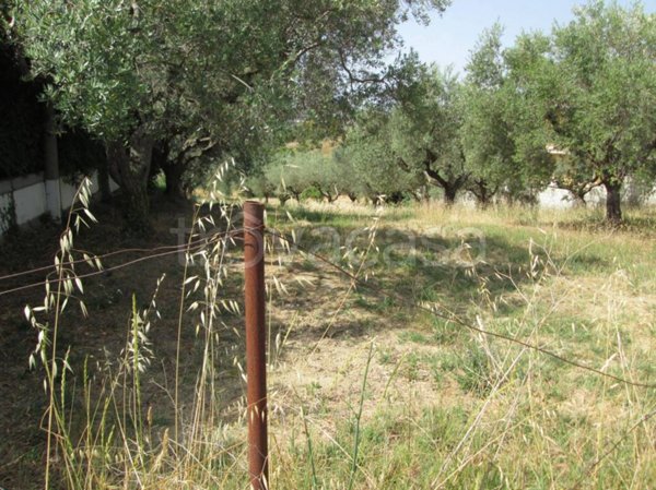 terreno agricolo in vendita a Montesilvano