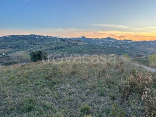 terreno agricolo in vendita a Montesilvano in zona Montesilvano Colle