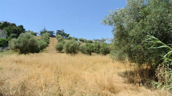 terreno edificabile in vendita a Montesilvano