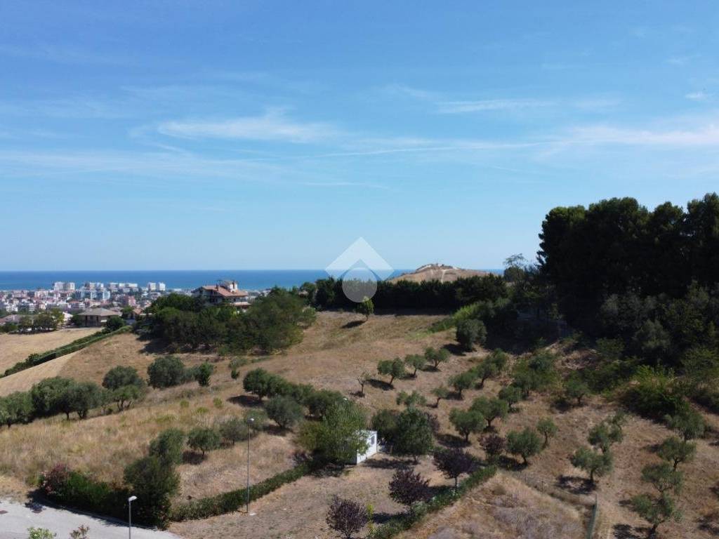 terreno agricolo in vendita a Montesilvano