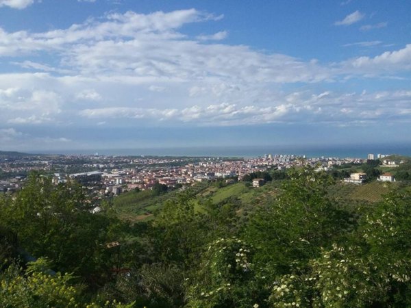 terreno agricolo in vendita a Montesilvano