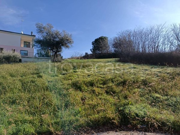 terreno agricolo in vendita a Montesilvano
