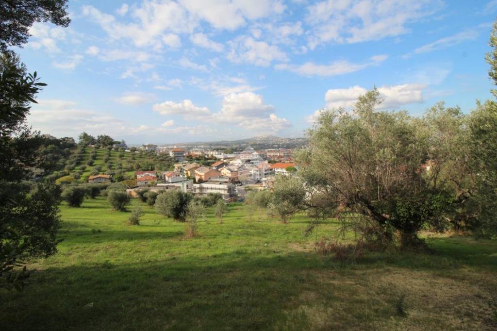 terreno agricolo in vendita a Montesilvano