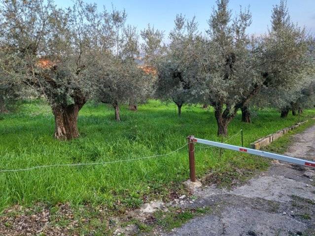 immagine annuncio 0 di 4