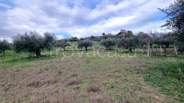 terreno agricolo in vendita a Montesilvano in zona Montesilvano Colle