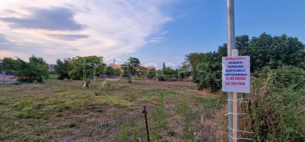 terreno agricolo in vendita a Montesilvano in zona Villa Carmine