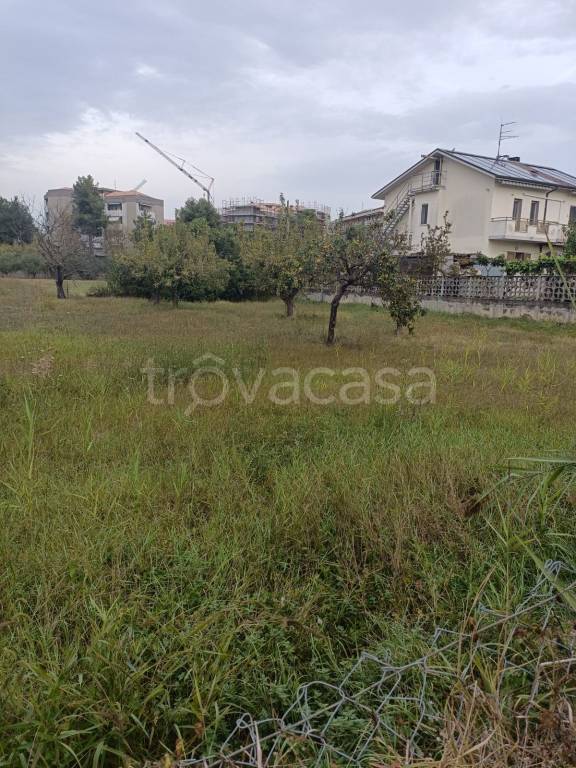 terreno agricolo in vendita a Montesilvano