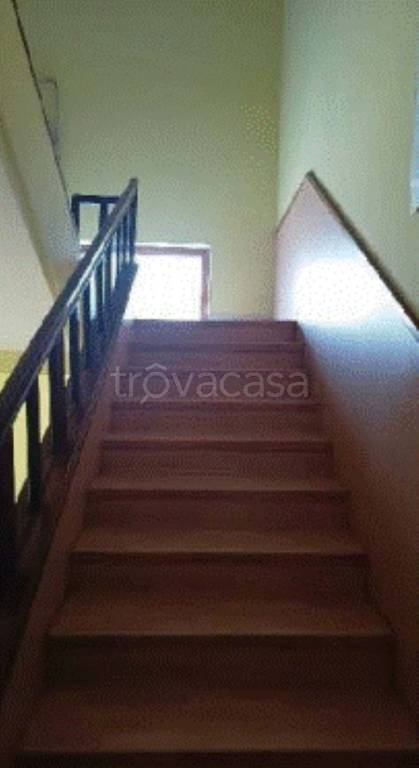 negozio in vendita a Montesilvano