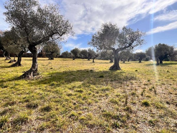 terreno agricolo in vendita a Montesilvano