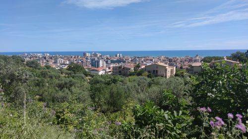 immagine annuncio 0 di 1