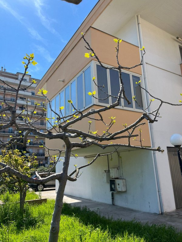 appartamento in vendita a Montesilvano