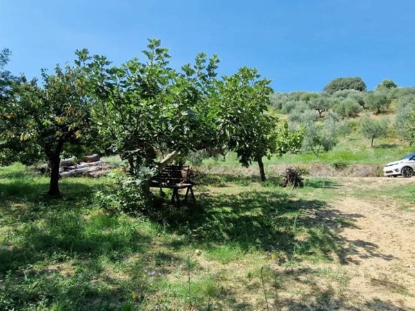 terreno agricolo in vendita a Montesilvano in zona Montesilvano Colle