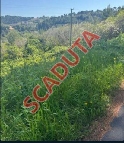 terreno agricolo in vendita a Montesilvano in zona Montesilvano Colle