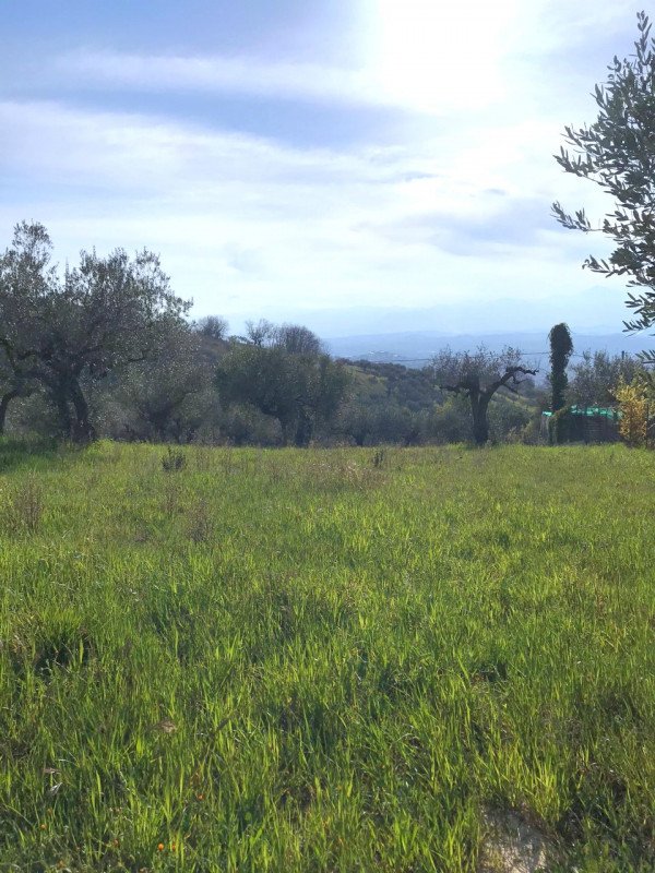 terreno edificabile in vendita a Montesilvano in zona Montesilvano Colle