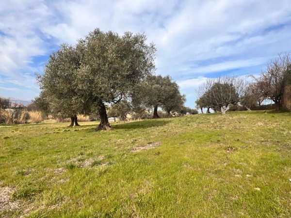 terreno agricolo in vendita a Montesilvano