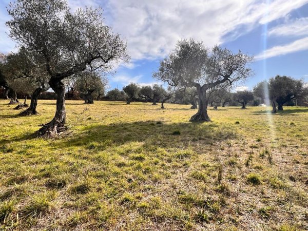terreno agricolo in vendita a Montesilvano