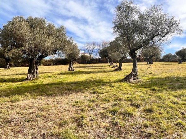 terreno agricolo in vendita a Montesilvano in zona Montesilvano Colle