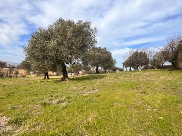 terreno agricolo in vendita a Montesilvano