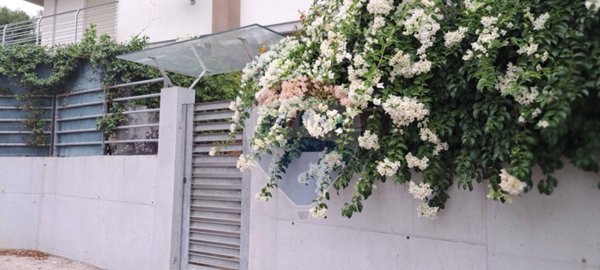 casa indipendente in vendita a Montesilvano