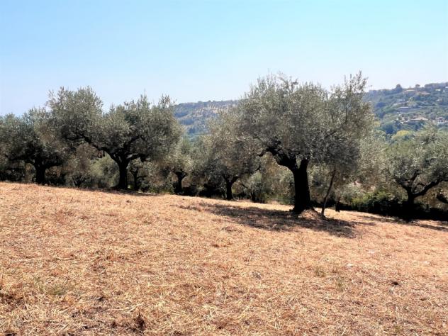terreno agricolo in vendita a Montesilvano