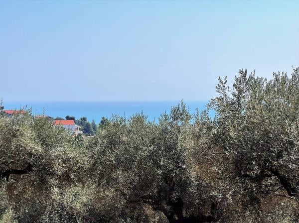 terreno edificabile in vendita a Montesilvano