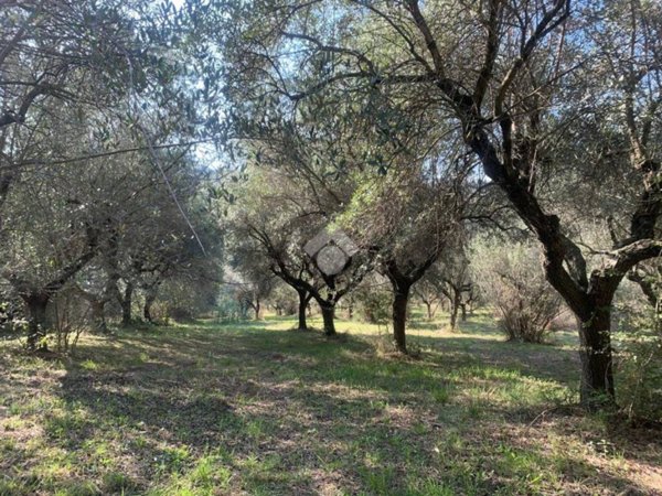 terreno agricolo in vendita a Montesilvano in zona Montesilvano Colle