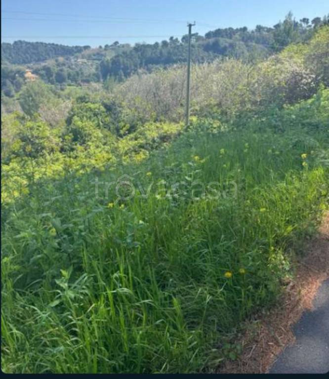 terreno agricolo in vendita a Montesilvano in zona Montesilvano Colle