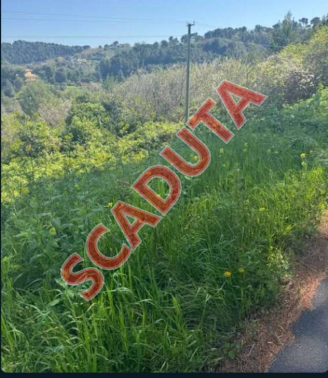 terreno agricolo in vendita a Montesilvano in zona Montesilvano Colle