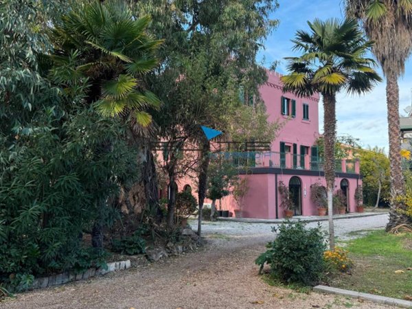 negozio in vendita a Montesilvano