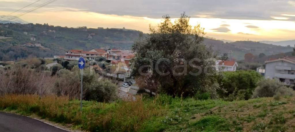 terreno agricolo in vendita a Montesilvano in zona Montesilvano Colle