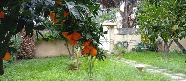 appartamento in vendita a Montesilvano