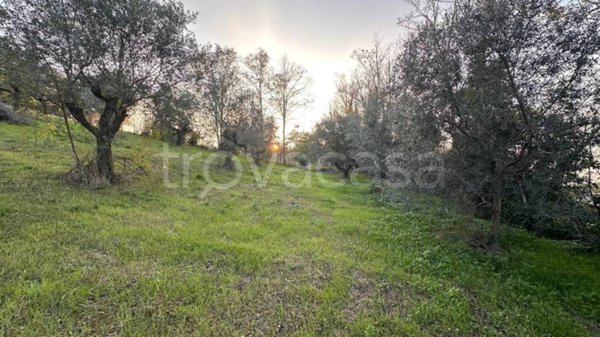 terreno edificabile in vendita a Montesilvano in zona Montesilvano Colle