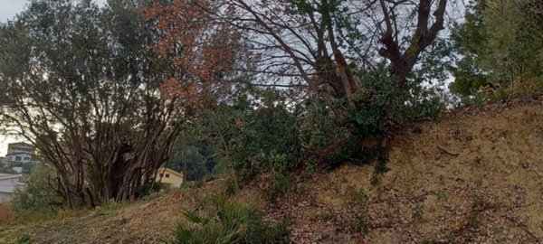 terreno edificabile in vendita a Montesilvano