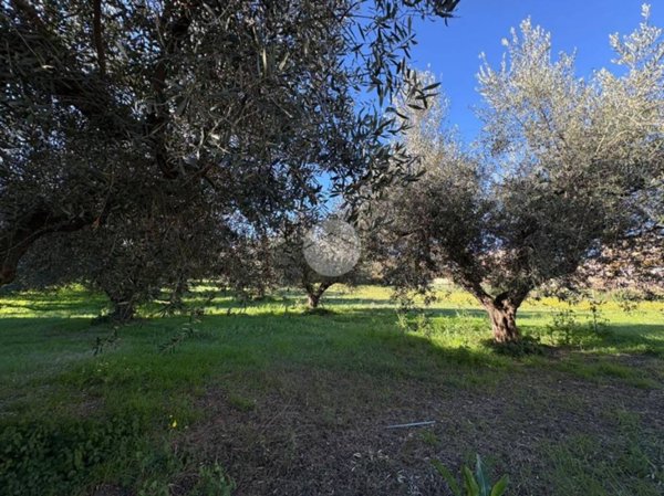 terreno edificabile in vendita a Montesilvano