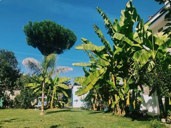 appartamento in vendita a Montesilvano