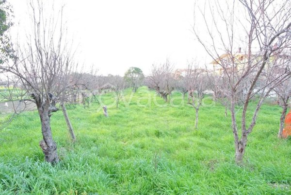 terreno edificabile in vendita a Montesilvano
