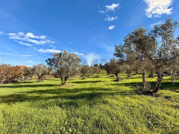 terreno edificabile in vendita a Montesilvano
