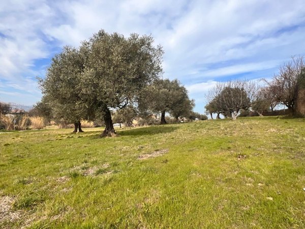 casa indipendente in vendita a Montesilvano