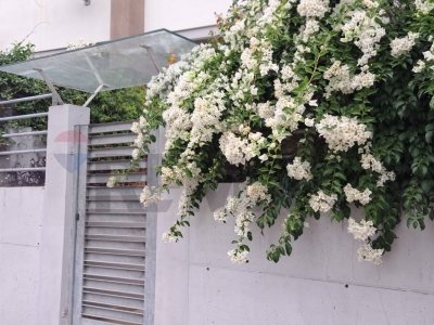 appartamento in vendita a Montesilvano