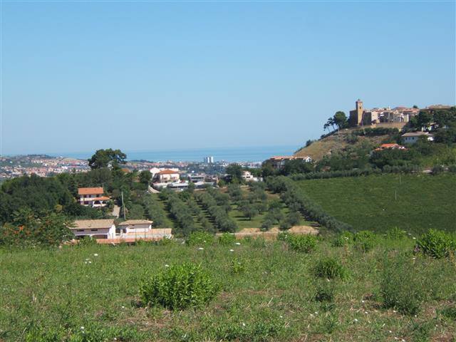 terreno edificabile in vendita a Montesilvano