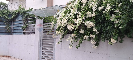 casa indipendente in vendita a Montesilvano in zona Montesilvano Colle