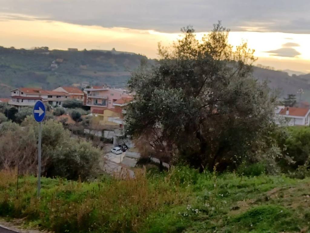 terreno agricolo in vendita a Montesilvano in zona Montesilvano Colle
